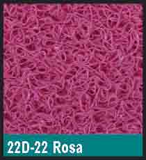 Rosa 22D22
